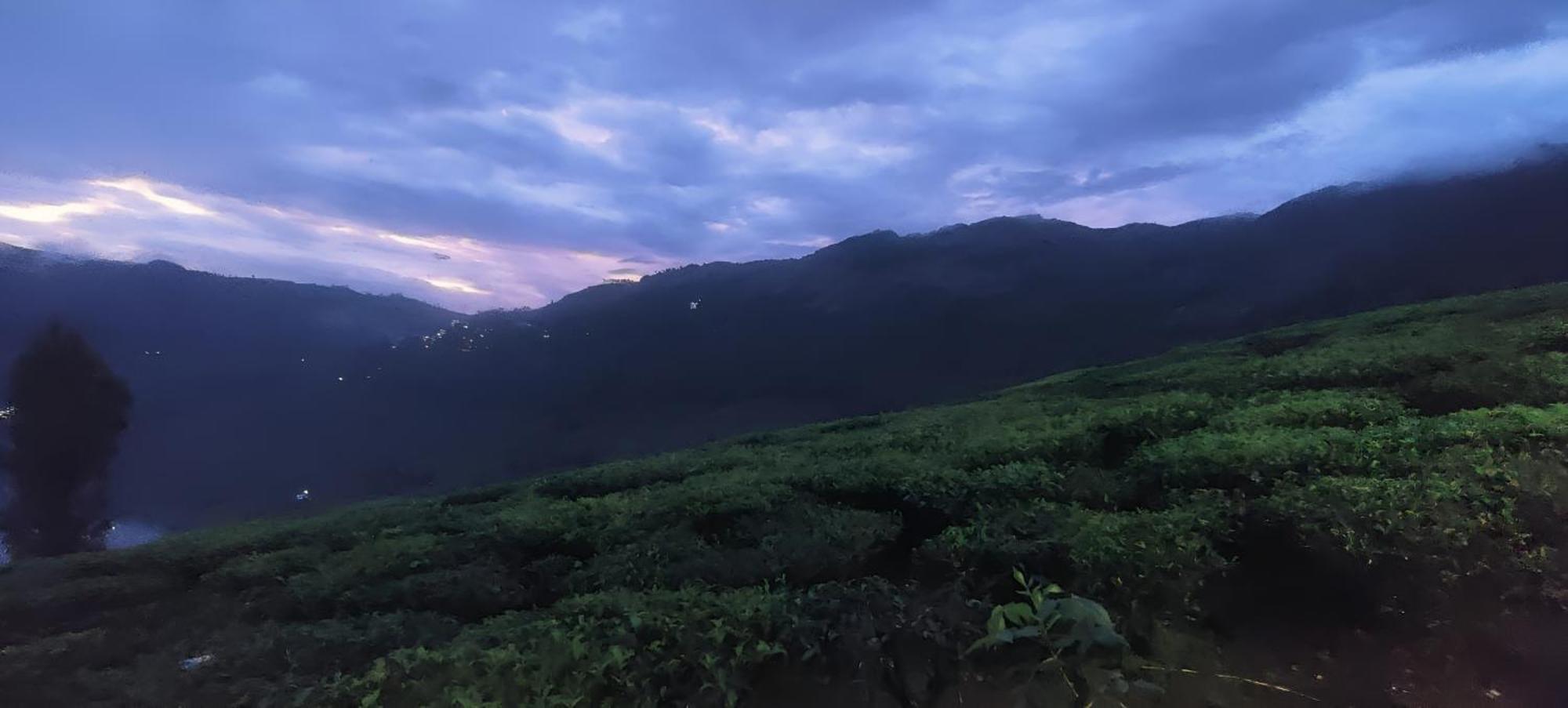 Beauty Spot Munnar Hotel Kültér fotó
