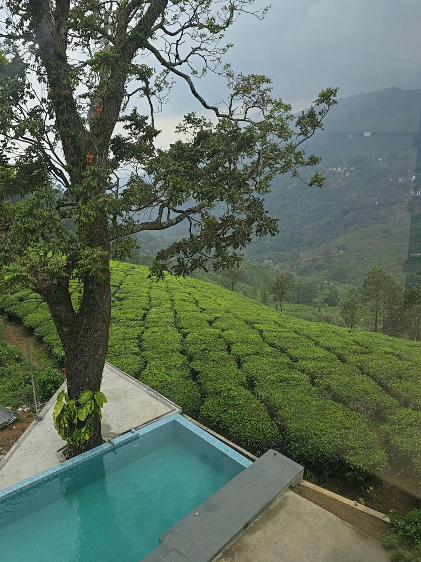 Beauty Spot Munnar Hotel Kültér fotó