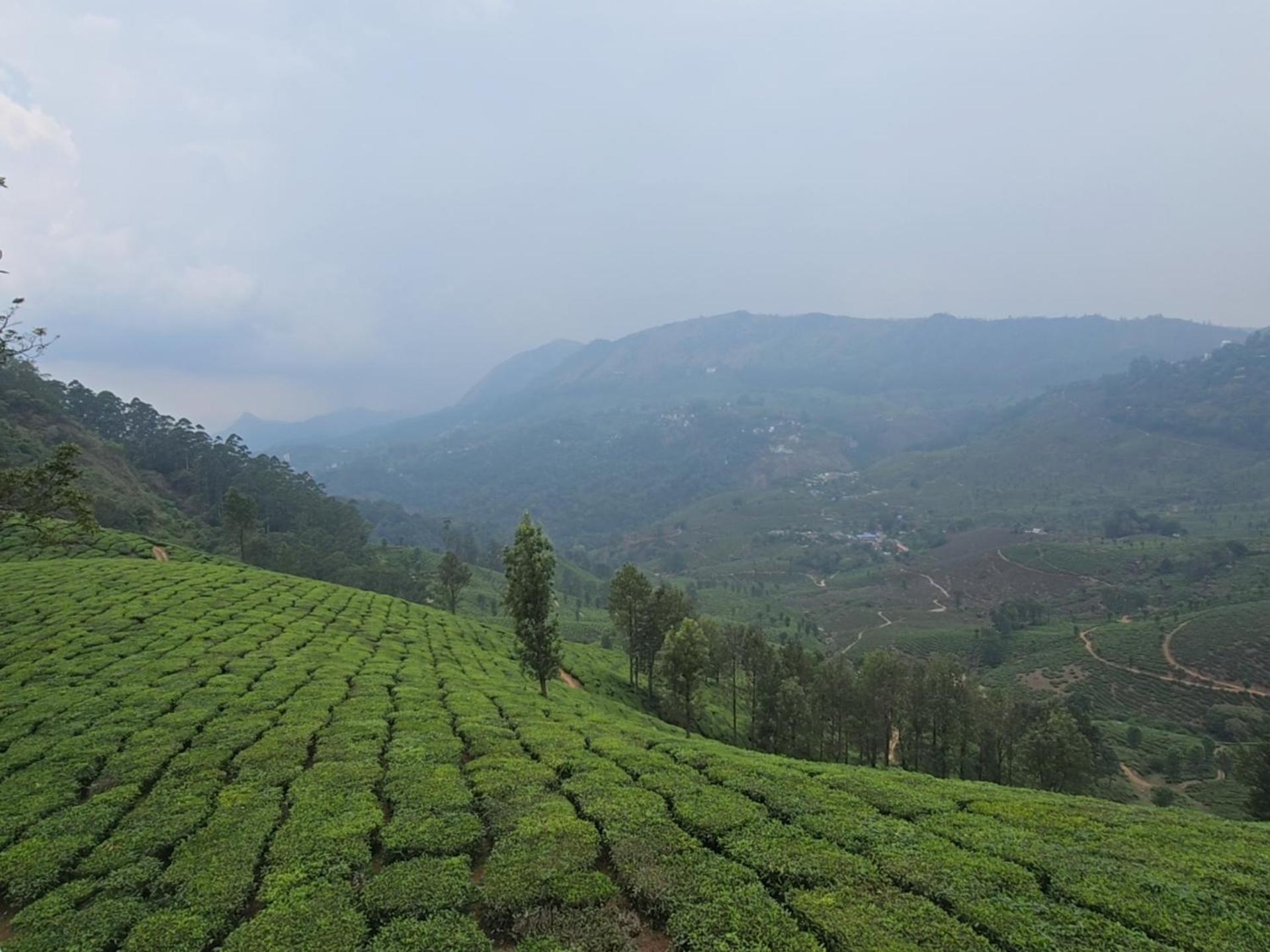 Beauty Spot Munnar Hotel Kültér fotó